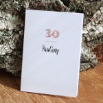 Zaproszenia na urodziny z balonową cyfrą