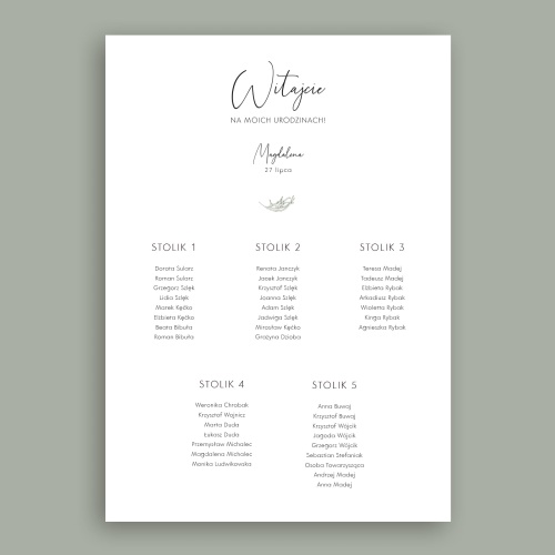 Plan stołu urodzinowego z roślinnym motywem